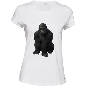 Gildan (XL) Cool Gorilla Animal Jungle Design Gym Workout White Ladies Women T Shirt Te Gildan (XL) Cool Gorilla Animal Jungle Design Gym Workout White Ladies Women T Shirt Te