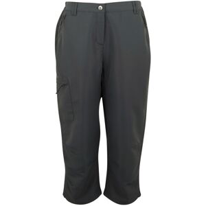 (10L, Seal Grey) Regatta Womens/Ladies Chaska III Walking Capri Cropped Trousers (10L, Seal Grey) Regatta Womens/Ladies Chaska III Walking Capri Cropped Trousers