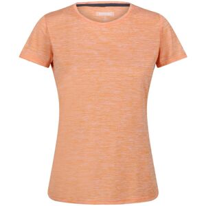 (16 UK, Orange) Regatta Womens/Ladies Fingal Edition Jersey Moisture Wicking T-S (16 UK, Orange) Regatta Womens/Ladies Fingal Edition Jersey Moisture Wicking T-S