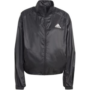 (24-26 UK, Black) Adidas Womens/Ladies Traveer WIND RDY Windbreaker (24-26 UK, Black) Adidas Womens/Ladies Traveer WIND RDY Windbreaker
