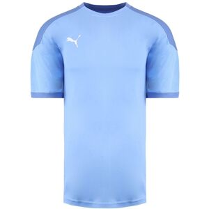 (L) Puma DryCell TeamFinal 21 Short Sleeve Mens Light Blue Training Jersey T-Shi (L) Puma DryCell TeamFinal 21 Short Sleeve Mens Light Blue Training Jersey T-Shi