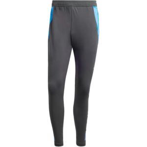 adidas (3XL) 2024-2025 Argentina Training Pants (Carbon) adidas (3XL) 2024-2025 Argentina Training Pants (Carbon)