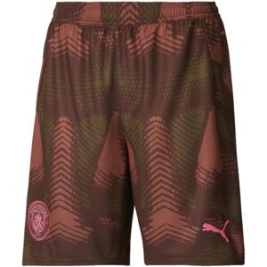 Puma (XL) 2024-2025 Man City Third Goalkeeper Shorts (Espresso Brown) Puma (XL) 2024-2025 Man City Third Goalkeeper Shorts (Espresso Brown)