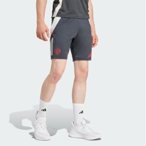 adidas (XL) 2024-2025 Man Utd EU Training Shorts (Carbon) adidas (XL) 2024-2025 Man Utd EU Training Shorts (Carbon)