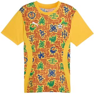 Puma (XS) 2024-2025 Ghana Pre-Match SS Jersey (Yellow) Puma (XS) 2024-2025 Ghana Pre-Match SS Jersey (Yellow)