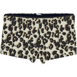 (14 UK, Multicoloured) Regatta Womens/Ladies Aceana Leopard Print Bikini Shorts (14 UK, Multicoloured) Regatta Womens/Ladies Aceana Leopard Print Bikini Shorts