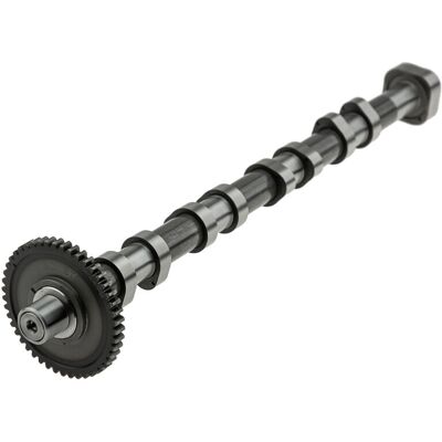 Audi A3 8p Camshaft - Exhaust Side - High Quality Audi A3 8p Camshaft - Exhaust Side - High Quality