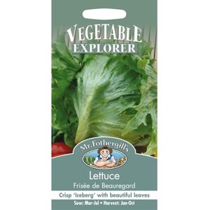Mr Fothergill's Mr Fothergills - Pictorial Packet - Vegetable - Lettuce Frisee de Beauregard - 1 Mr Fothergill's Mr Fothergills - Pictorial Packet - Vegetable - Lettuce Frisee de Beauregard - 1