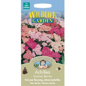 Mr Fothergill's Mr Fothergills - Pictorial Packet - Flower - Achillea Summer Berries - 50 Seeds Mr Fothergill's Mr Fothergills - Pictorial Packet - Flower - Achillea Summer Berries - 50 Seeds