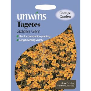 Unwins Easy Grow Your Own Summers Garden Tagetes Golden Gem Seeds Pkt Unwins Easy Grow Your Own Summers Garden Tagetes Golden Gem Seeds Pkt