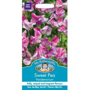 Mr Fothergill's Mr Fothergills - Pictorial Packet - Flower - Sweet Pea - Pandemonium - 20 Seeds Mr Fothergill's Mr Fothergills - Pictorial Packet - Flower - Sweet Pea - Pandemonium - 20 Seeds