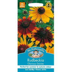 Mr Fothergill's Mr Fothergills - Pictorial Packet - Flower - Rudbeckia Gloriosa Daisies - 500 Se Mr Fothergill's Mr Fothergills - Pictorial Packet - Flower - Rudbeckia Gloriosa Daisies - 500 Se