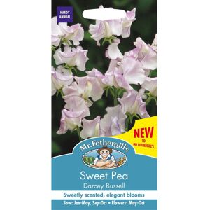 Mr Fothergill's Mr Fothergills - Pictorial Packet - Flower - Sweet Pea Darcey Bussell - 20 Seeds Mr Fothergill's Mr Fothergills - Pictorial Packet - Flower - Sweet Pea Darcey Bussell - 20 Seeds