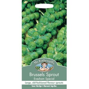Mr Fothergill's Mr Fothergills - Pictorial Packet - Vegetable - Brussels Sprout Evesham Special Mr Fothergill's Mr Fothergills - Pictorial Packet - Vegetable - Brussels Sprout Evesham Special