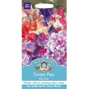 Mr Fothergill's Mr Fothergills - Pictorial Packet - Flower - Sweet Pea - Big Top - 25 Seeds Mr Fothergill's Mr Fothergills - Pictorial Packet - Flower - Sweet Pea - Big Top - 25 Seeds