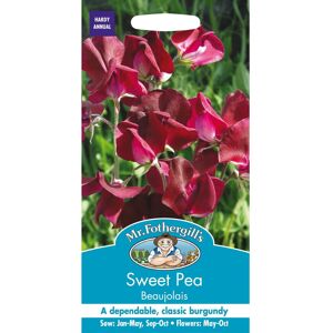 Mr Fothergill's Mr Fothergills - Pictorial Packet - Flower - Sweet Pea - Beaujolais - 20 Seeds Mr Fothergill's Mr Fothergills - Pictorial Packet - Flower - Sweet Pea - Beaujolais - 20 Seeds