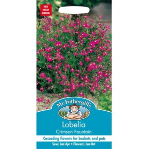 Mr Fothergill's Mr Fothergills - Pictorial Packet - Flower - Lobelia Crimson Fountain - 1500 See Mr Fothergill's Mr Fothergills - Pictorial Packet - Flower - Lobelia Crimson Fountain - 1500 See