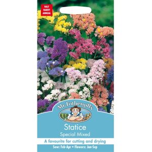 Mr Fothergill's Mr Fothergills - Pictorial Packet - Flower - Statice Special Mixed - 100 Seeds Mr Fothergill's Mr Fothergills - Pictorial Packet - Flower - Statice Special Mixed - 100 Seeds