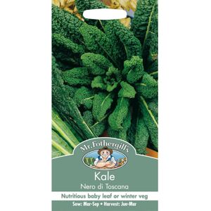 Mr Fothergill's Mr Fothergills - Pictorial Packet - Vegetable - Kale Nero Di Toscana - 400 Seeds Mr Fothergill's Mr Fothergills - Pictorial Packet - Vegetable - Kale Nero Di Toscana - 400 Seeds