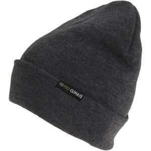 (One Size, Grey) 3M Thinsulate Adults Pro Climate Beanie (One Size, Grey) 3M Thinsulate Adults Pro Climate Beanie