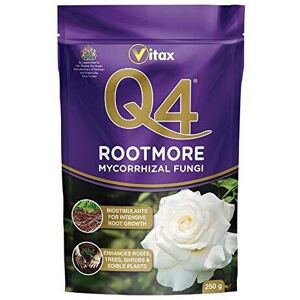 Vitax Q4 Rootmore Mycorrhizal Fungi Root Growth Roses Trees Shrubs 250G Vitax Q4 Rootmore Mycorrhizal Fungi Root Growth Roses Trees Shrubs 250G