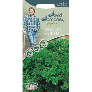 Mr Fothergill's Mr Fothergills - Herb - David Domoney Parsley Moss Curled 2 - 1000s Mr Fothergill's Mr Fothergills - Herb - David Domoney Parsley Moss Curled 2 - 1000s