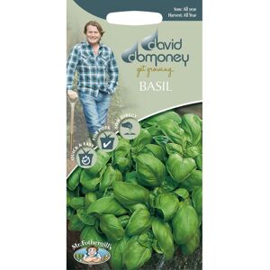 Mr Fothergill's Mr Fothergills - Herb - David Domoney Basil Sweet - 650s Mr Fothergill's Mr Fothergills - Herb - David Domoney Basil Sweet - 650s