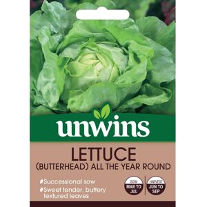 Unwins Grow Your Own Butterhead All The Year Round Lettuce Veg Seeds Unwins Grow Your Own Butterhead All The Year Round Lettuce Veg Seeds