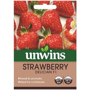 Unwins Grow Your Own Sweet Delician F1 Strawberry Fruit Seeds Unwins Grow Your Own Sweet Delician F1 Strawberry Fruit Seeds