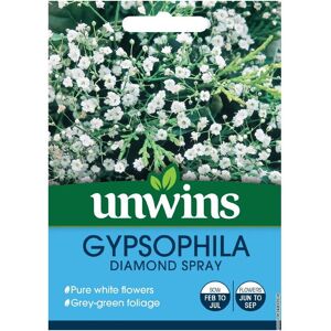 Unwins Grow Your Own Pure White Gypsophila Diamond Spray Flower Seeds Unwins Grow Your Own Pure White Gypsophila Diamond Spray Flower Seeds