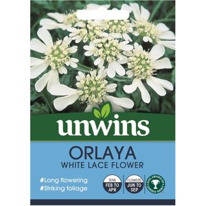 Unwins Grow Your Own Tall Stem Orlaya White Lace Long Flowering Seeds Unwins Grow Your Own Tall Stem Orlaya White Lace Long Flowering Seeds