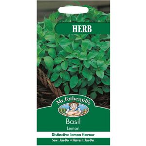 Mr Fothergill's Mr Fothergills - Pictorial Packet - Herb - Basil Lemon - 300 Seeds Mr Fothergill's Mr Fothergills - Pictorial Packet - Herb - Basil Lemon - 300 Seeds