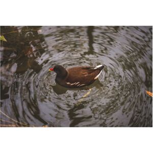 Certikin 9Mm/3/8” Id Clear Hose (1.5Mm Wall) - 30M (FP912C/30) Certikin 9Mm/3/8” Id Clear Hose (1.5Mm Wall) - 30M (FP912C/30)