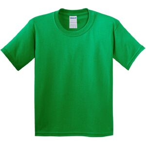 (S, Irish Green) Gildan Childrens Unisex Soft Style T-Shirt (Pack Of 2) (S, Irish Green) Gildan Childrens Unisex Soft Style T-Shirt (Pack Of 2)