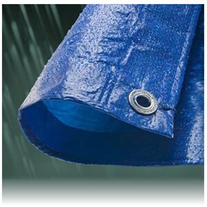 Gardeners Dream (7M x 11M, 1) Economy Blue Waterproof Tarpaulin Sheet Tarp Cover With Eyelets Gardeners Dream (7M x 11M, 1) Economy Blue Waterproof Tarpaulin Sheet Tarp Cover With Eyelets