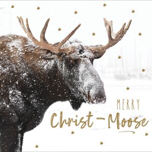 Woodmansterne Pack of 5 Delights Of December Christmas Cards Supporting Multiple Charities Woodmansterne Pack of 5 Delights Of December Christmas Cards Supporting Multiple Charities