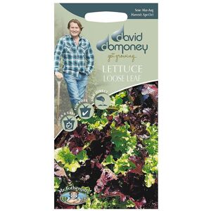 Mr Fothergill's Mr.Fothergill's David Domoney Vegetable Lettuce Loose Leaf Seeds PKT Mr Fothergill's Mr.Fothergill's David Domoney Vegetable Lettuce Loose Leaf Seeds PKT