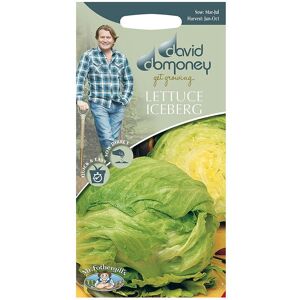 Mr Fothergill's Mr.Fothergill's David Domoney Lettuce Iceberg Balmoral Seeds PKT Mr Fothergill's Mr.Fothergill's David Domoney Lettuce Iceberg Balmoral Seeds PKT