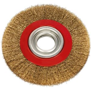 Loops 150 x 13mm Wire Brush Wheel - Brass Coated Steel - 32mm Bore - Bench Grinding Loops 150 x 13mm Wire Brush Wheel - Brass Coated Steel - 32mm Bore - Bench Grinding