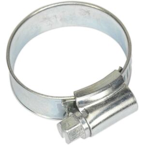 Loops 30 PACK Zinc Plated Hose Clip - 22 to 32mm Diameter - External Pressed Threads Loops 30 PACK Zinc Plated Hose Clip - 22 to 32mm Diameter - External Pressed Threads