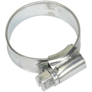 Loops 30 PACK Zinc Plated Hose Clip - 19 to 29mm Diameter - External Pressed Threads Loops 30 PACK Zinc Plated Hose Clip - 19 to 29mm Diameter - External Pressed Threads