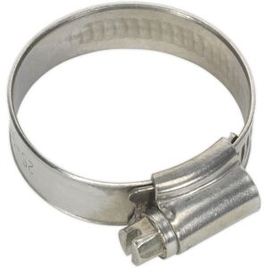 Loops 10 PACK Stainless Steel Hose Clip - 25 to 38mm Diameter - Hose Pipe Clip Fixing Loops 10 PACK Stainless Steel Hose Clip - 25 to 38mm Diameter - Hose Pipe Clip Fixing