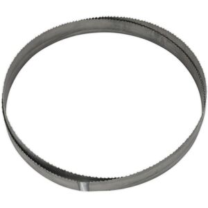 Loops 3035 x 25 x 0.89mm Bi-Metal Bandsaw Blade - 4/6 TPI Variable Pitch Metal Plastic Loops 3035 x 25 x 0.89mm Bi-Metal Bandsaw Blade - 4/6 TPI Variable Pitch Metal Plastic