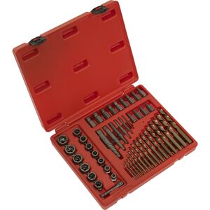Loops 49 Piece Master Extractor Set - Screw Bolt & Nut Extraction - Storage Case Loops 49 Piece Master Extractor Set - Screw Bolt & Nut Extraction - Storage Case