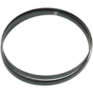 Loops 1638 x 13 x 0.63mm Bi-Metal Bandsaw Blade - 6 TPI Hardened Cutting Edges Metal Loops 1638 x 13 x 0.63mm Bi-Metal Bandsaw Blade - 6 TPI Hardened Cutting Edges Metal