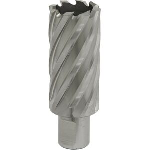 Loops 30mm x 50mm Depth Rotabor Cutter - M2 Steel Annular Metal Core Drill 19mm Shank Loops 30mm x 50mm Depth Rotabor Cutter - M2 Steel Annular Metal Core Drill 19mm Shank