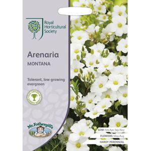 Mr Fothergill's Mr.Fothergill's RHS Grow Your Own Summer Arenaria Montana Seeds Packet Mr Fothergill's Mr.Fothergill's RHS Grow Your Own Summer Arenaria Montana Seeds Packet