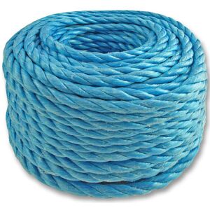 Loops 30m 10mm Blue Poly Rope Winch Pulley Lash Line Boat Camping Marine Tarpaulin Loops 30m 10mm Blue Poly Rope Winch Pulley Lash Line Boat Camping Marine Tarpaulin