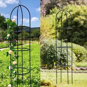 DENNY INT LTD Twisting Climbing Plant 1.9m Outdoor Garden Obelisk Trellis Metal Support Frame DENNY INT LTD Twisting Climbing Plant 1.9m Outdoor Garden Obelisk Trellis Metal Support Frame