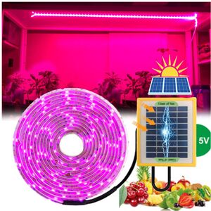 Unbranded 10M Solar Phytolamp for Seedlings - 5V LED Grow Light (2835) for Plants, Greenho Unbranded 10M Solar Phytolamp for Seedlings - 5V LED Grow Light (2835) for Plants, Greenho